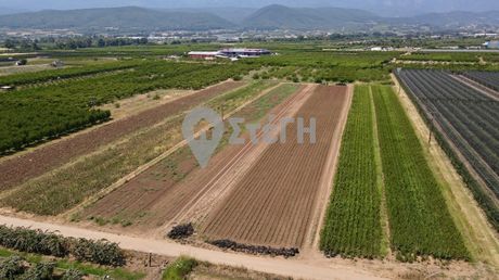 Αγροτεμάχια 22.200τ.μ. για πώληση-Ανθεμιά » Μονόσπιτα