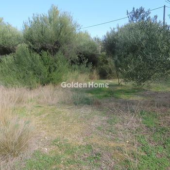 Αγροτεμάχια 1.000τ.μ. για πώληση-Σητεία » Πετράς
