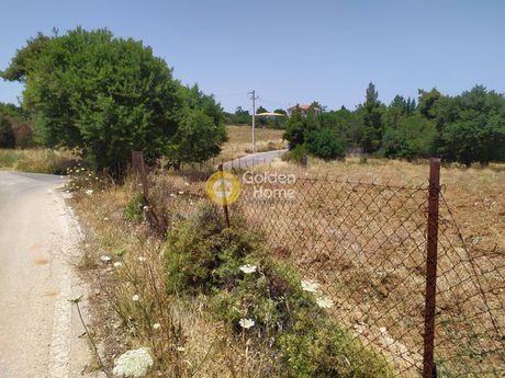 Οικόπεδο 6.300τ.μ. για πώληση-Κ. καπανδριτίου » Μικροχώρι
