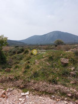 Αγροτεμάχια 13.500τ.μ. για πώληση-Κορωπί » Κέντρο
