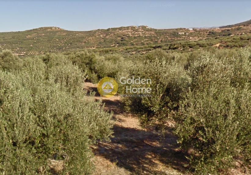 Οικόπεδο 4.200 τ.μ. προς πώληση, Κουνουπίτσα Κισσάμου