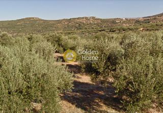 Οικόπεδο 4.200 τ.μ. για πώληση