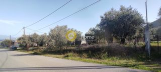 Αγροτεμάχια 1.148 τ.μ. για πώληση