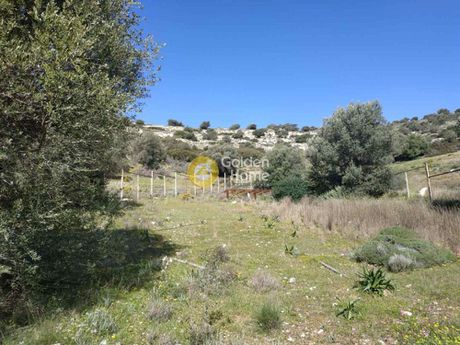 Αγροτεμάχια 648τ.μ. για πώληση-Λαύριο » Θορικό