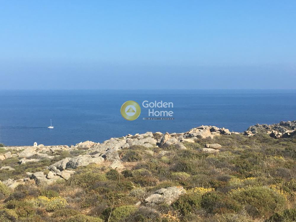Οικόπεδο 6.000 τ.μ. προς πώληση, Ελιά Μυκόνου