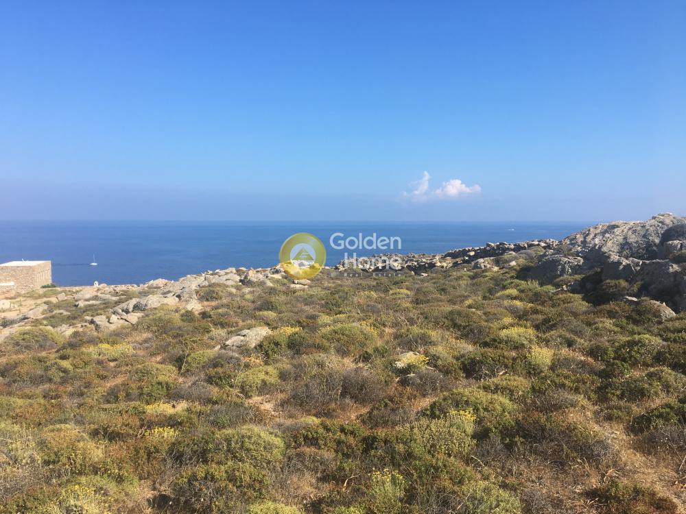 Οικόπεδο 6.000 τ.μ. προς πώληση, Ελιά Μυκόνου