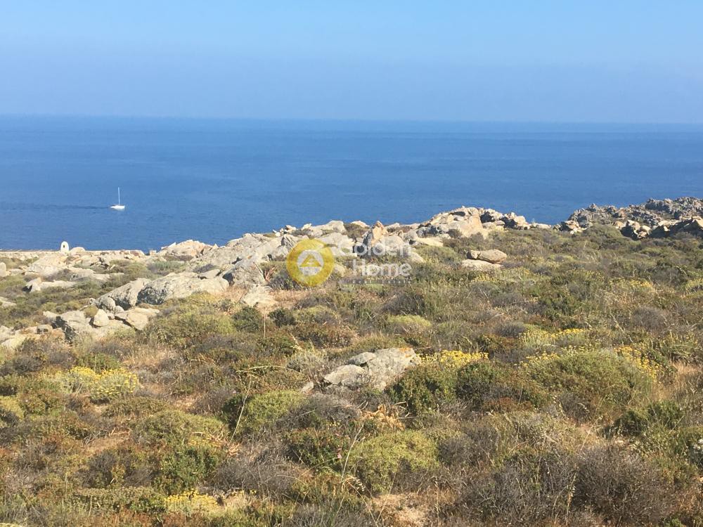 Οικόπεδο 6.000 τ.μ. προς πώληση, Ελιά Μυκόνου