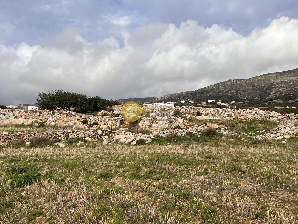 Αγροτεμάχια 5.669 τ.μ. προς πώληση, Γλύφα Πάρου