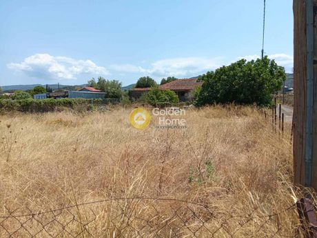 Οικόπεδο 520τ.μ. για πώληση-Ωρωπός » Κάμπος ωρωπού