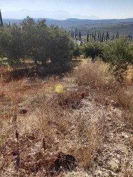 Οικόπεδο 1.760τ.μ. για πώληση-Νίκος καζαντζάκης » Καταλαγάρι