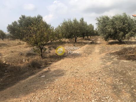 Αγροτεμάχια 3.000τ.μ. για πώληση-Κερατέα » Αρί
