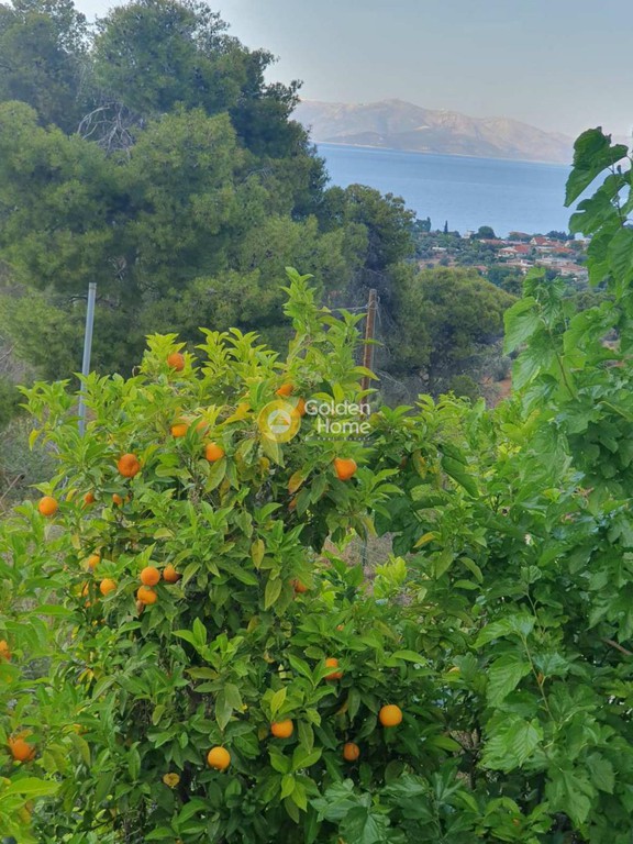 Μονοκατοικία 65 τ.μ. προς ενοικίαση, Βλαστός