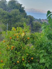 Μονοκατοικία 65 τ.μ. για ενοικίαση