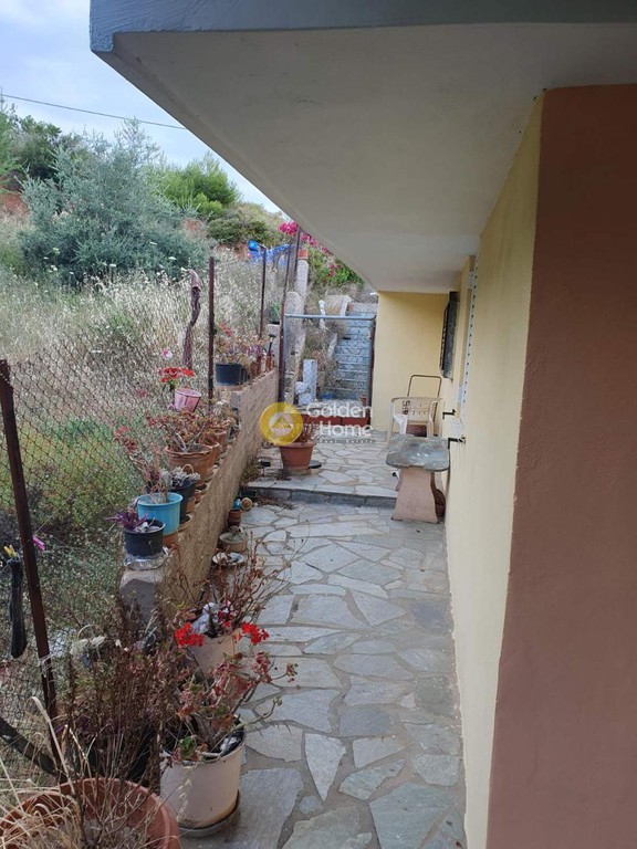 Μονοκατοικία 65 τ.μ. προς ενοικίαση, Βλαστός