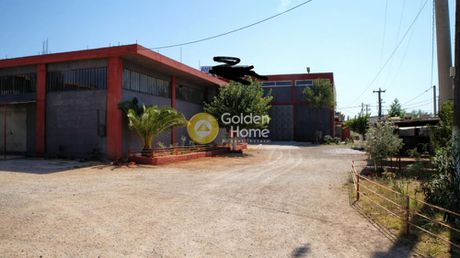 Βιομηχανικός χώρος 2.700τ.μ. για πώληση-Μαγούλα