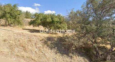 Οικόπεδο 6.756τ.μ. για πώληση-Χορτιάτης » Κέντρο