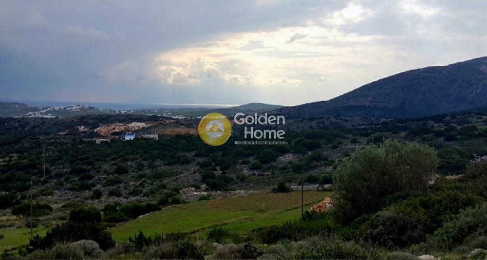 Αγροτεμάχια 6.362 τ.μ. προς πώληση, Κώστος