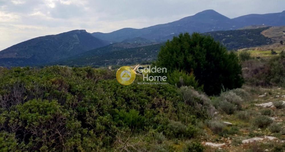 Αγροτεμάχια 6.362 τ.μ. προς πώληση, Κώστος