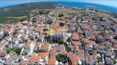 Αγροτεμάχια 10.000τ.μ. για πώληση-Λέσβος - μυτιλήνη » Πάμφιλα