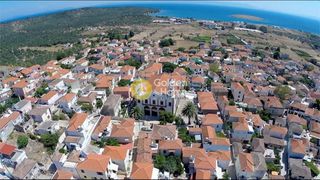 Αγροτεμάχια 10.000 τ.μ. για πώληση