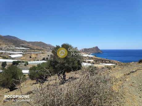 Αγροτεμάχια 2.500τ.μ. για πώληση-Γορτύνα » Γερόκαμπος