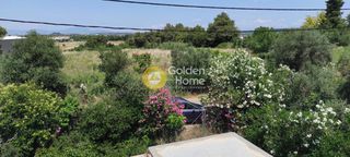 Αγροτεμάχια 2.460 τ.μ. για πώληση