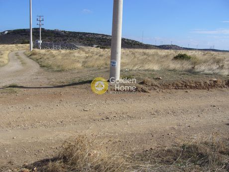 Αγροτεμάχια 7.264τ.μ. για πώληση-Κερατέα » Διψέλιζα