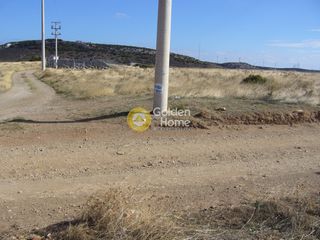 Αγροτεμάχια 7.264 τ.μ. για πώληση