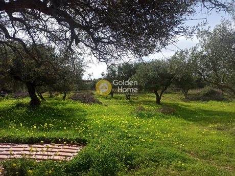 Οικόπεδο 762τ.μ. για πώληση-Γούβες » Αγία πελαγία