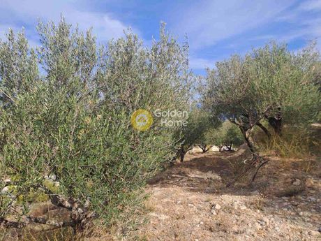 Οικόπεδο 4.217τ.μ. για πώληση-Ξυλόκαστρο » Μερτικαίικα