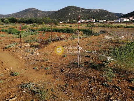 Οικόπεδο 812τ.μ. για πώληση-Μαρκόπουλο » Κουλιδάς