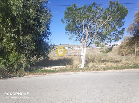 Οικόπεδο 15.000τ.μ. για πώληση-Τυμπάκι » Νέο καλαμάκι