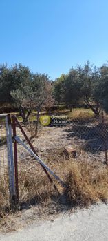 Οικόπεδο 400τ.μ. για πώληση-Γούβες » Ελιά