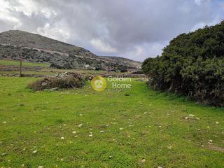 Αγροτεμάχια 12.000 τ.μ. για πώληση, Κυκλάδες, Πάρος-thumb-2