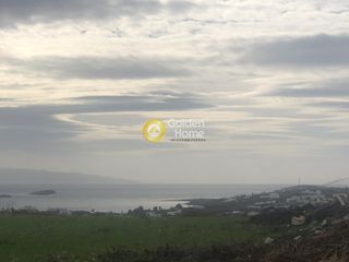Οικόπεδο 2.000 τ.μ. για πώληση