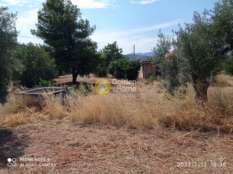 Αγροτεμάχια 4.050τ.μ. για πώληση-Καλύβια θορικού » Κέντρο