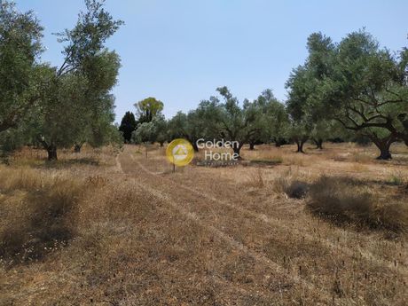 Οικόπεδο 5.200τ.μ. για πώληση-Ανθηδώνος » Άγιος μηνάς