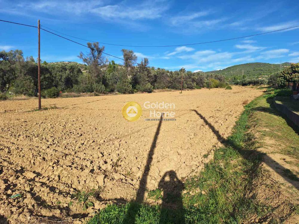 Αγροτεμάχια 5.570 τ.μ. προς πώληση, Αφράτι Ληλαντίου