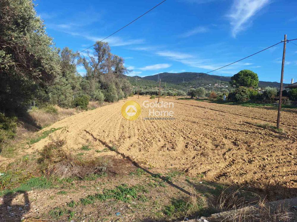 Αγροτεμάχια 5.570 τ.μ. προς πώληση, Αφράτι Ληλαντίου