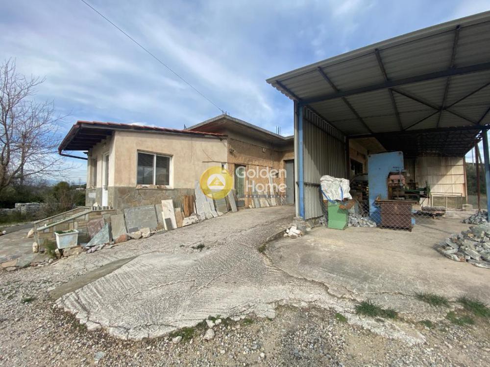 Βιομηχανικός χώρος 20.000 τ.μ. προς πώληση, Ανθούπολη Ταμυνών