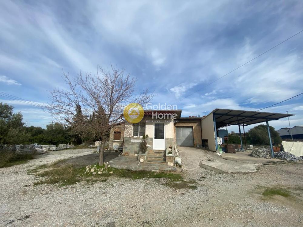 Βιομηχανικός χώρος 20.000 τ.μ. προς πώληση, Ανθούπολη Ταμυνών