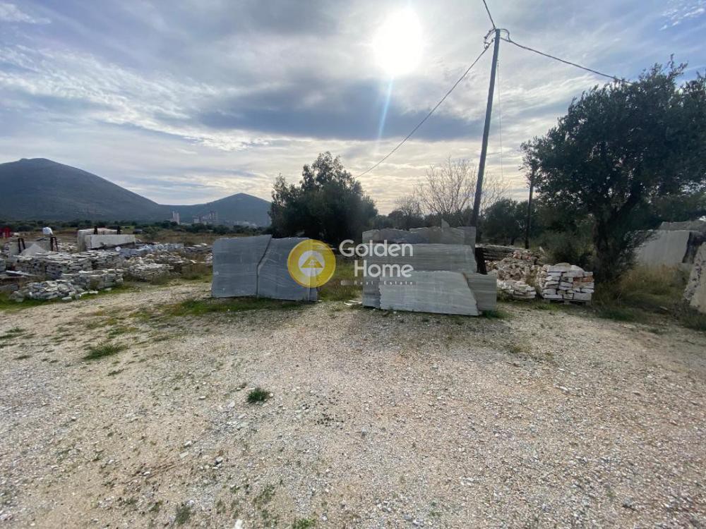 Βιομηχανικός χώρος 20.000 τ.μ. προς πώληση, Ανθούπολη Ταμυνών