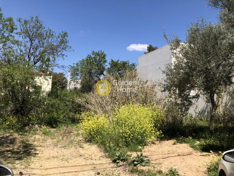 Οικόπεδο 400τ.μ. για πώληση-Κηφισιά » Αδάμες (οικισμός γράμμος - φοίνικας)