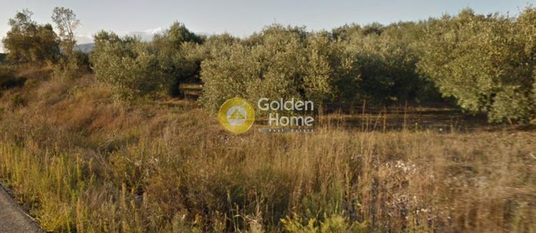 Αγροτεμάχια 15.487 τ.μ. για πώληση, Ν. Άρτας, Πέτα