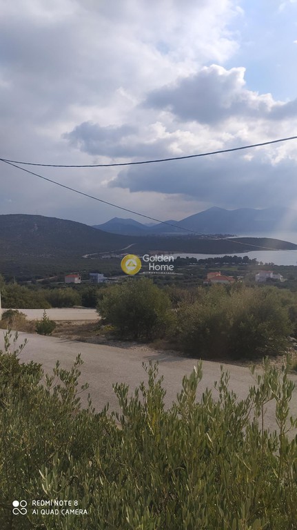 Οικόπεδο 637 τ.μ. προς πώληση, Ακτή Νηρέως