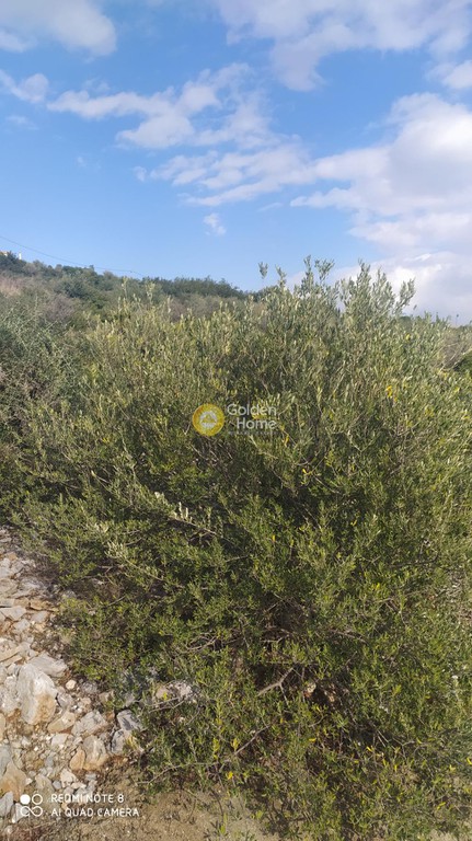 Οικόπεδο 637 τ.μ. προς πώληση, Ακτή Νηρέως