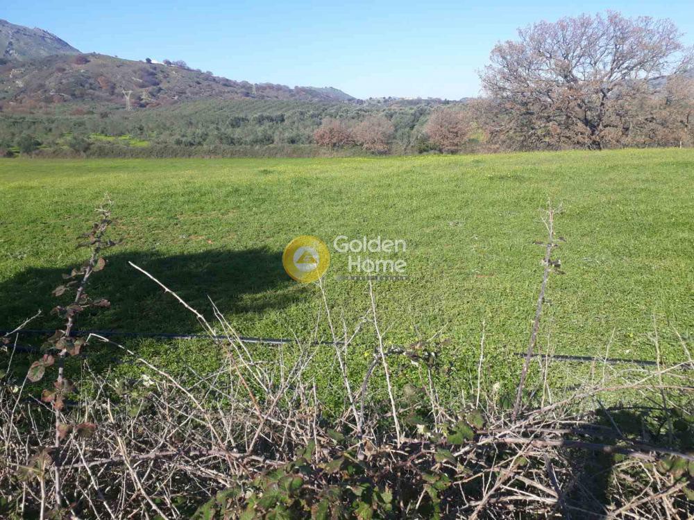 Οικόπεδο 10.450 τ.μ. προς πώληση, Ασπρουλιάνοι