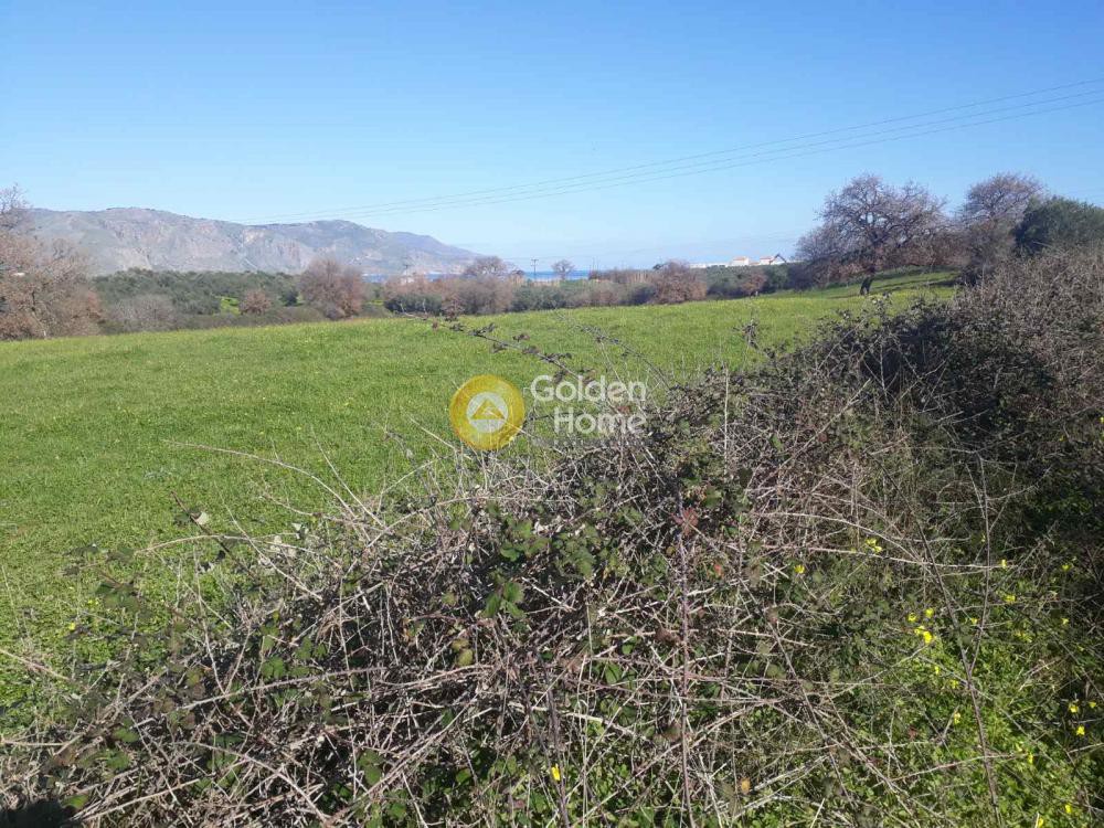 Οικόπεδο 10.450 τ.μ. προς πώληση, Ασπρουλιάνοι