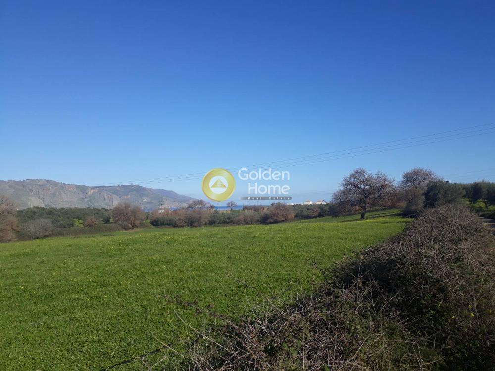 Οικόπεδο 10.450 τ.μ. προς πώληση, Ασπρουλιάνοι