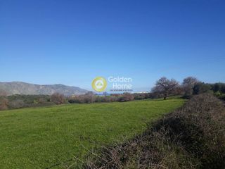 Οικόπεδο 10.450 τ.μ. για πώληση